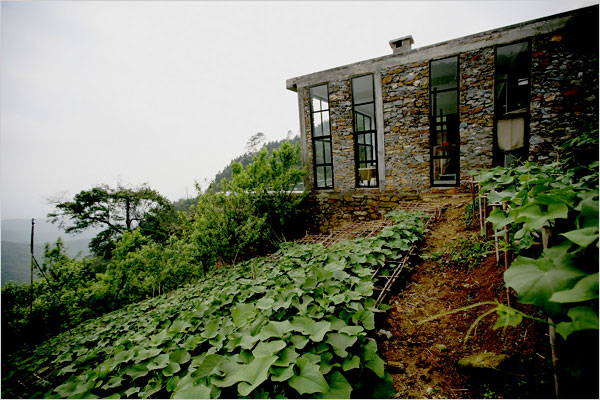 người Việt di trú ở Tam Đảo trên báo Mỹ